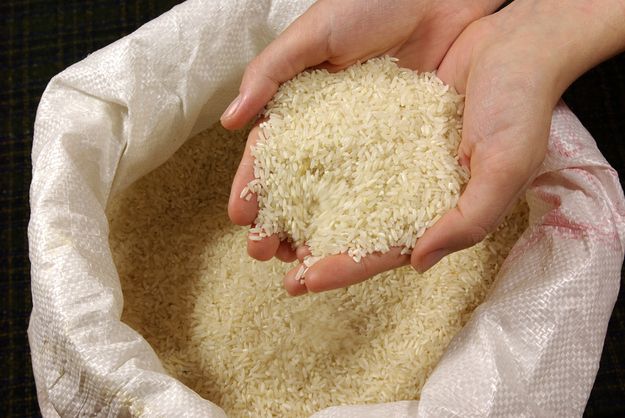 Rice 